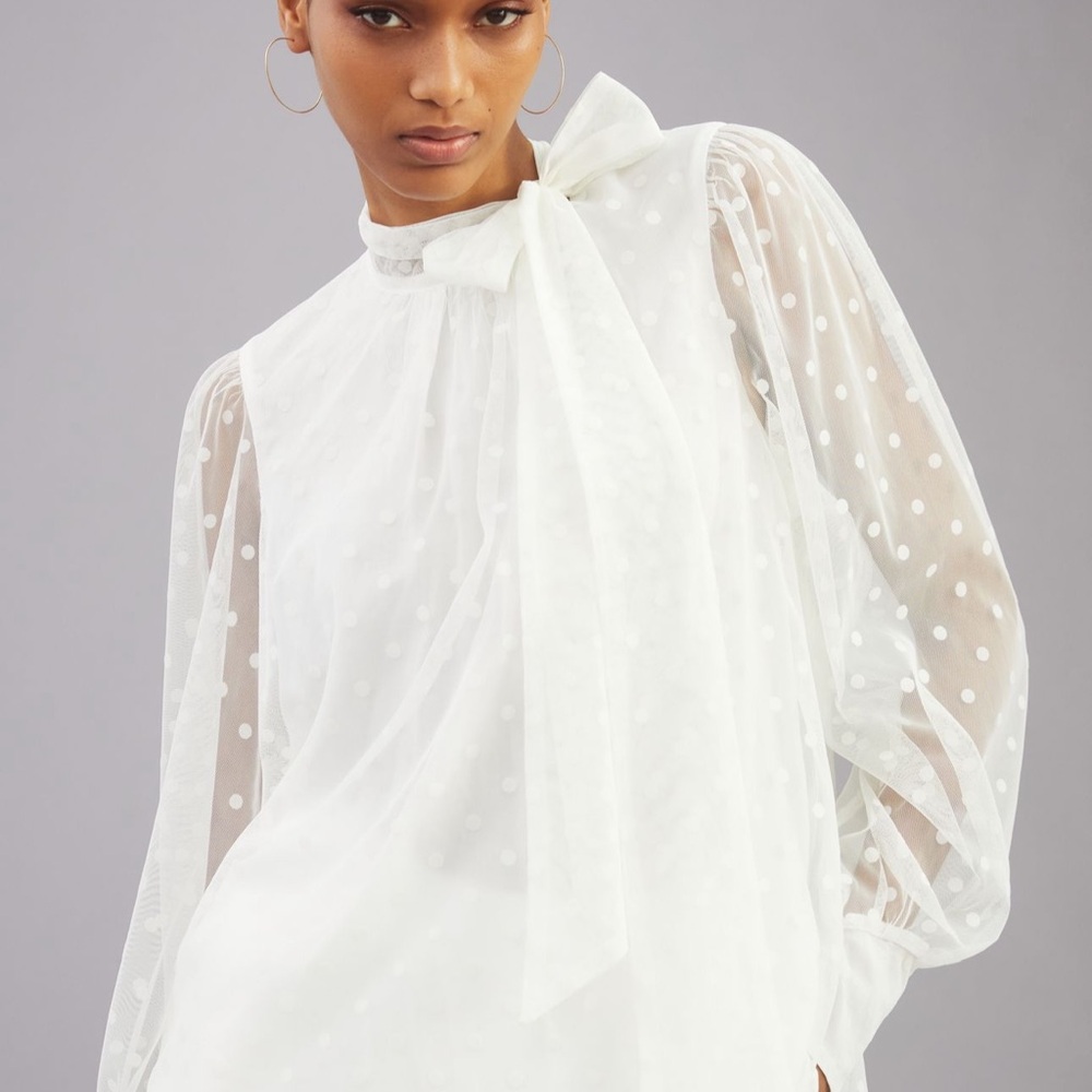 Anthropologie White Polka Dot Sheer Blouse - Picture 8 of 16